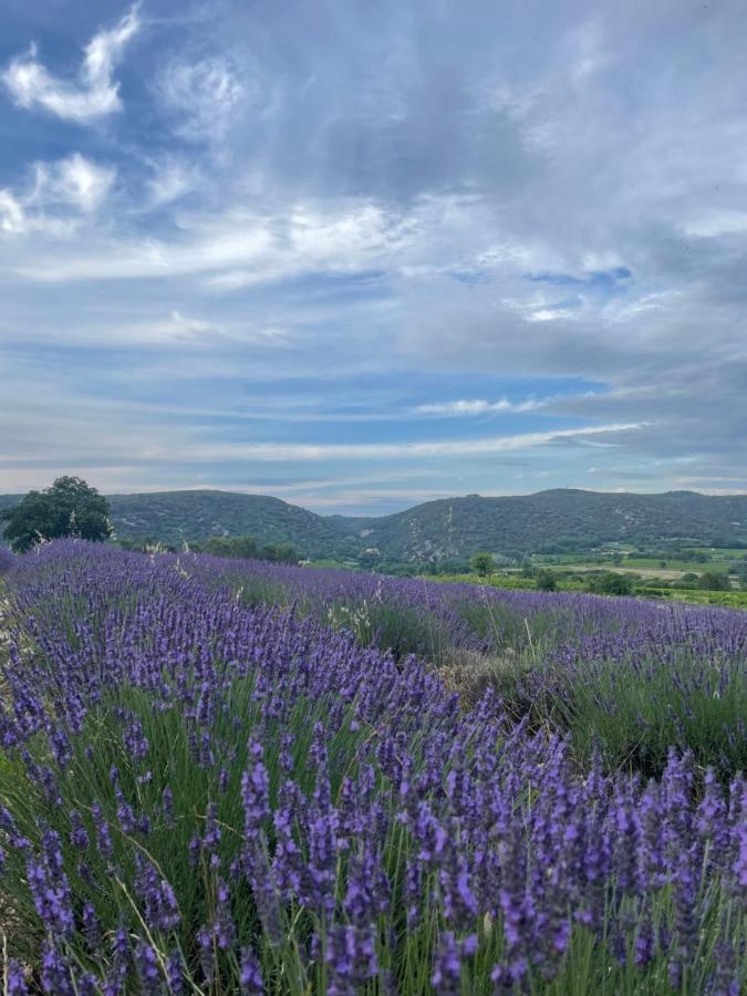 Gite Passiflore Frigoulet Eksteriør bilde